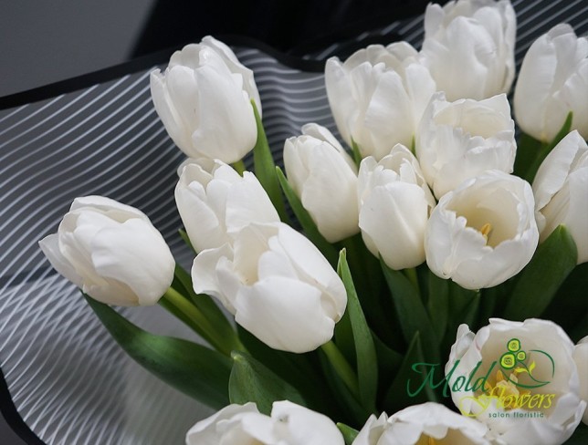 Букет из белых тюльпанов "Радость встречи" Фото